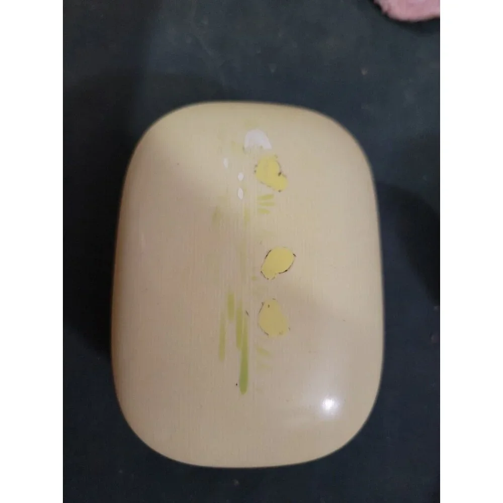 Vintage 1930s celluloid travel soap bar holder childs soap holder painted chicks